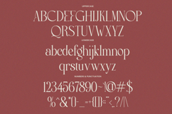 Chelvor - Stylish Ligature Serif Font Product Image 9