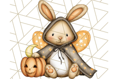 Halloween Fairy Animal Clipart PNG, Cute Spooky Creatures Product Image 5