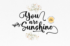 Hello Spring Script Font Product Image 9