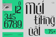 Bhilik - Sans Serif Unique Product Image 9