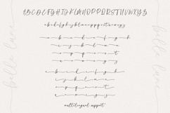 Belle Lune A Handwritten Script Font with Swashes Product Image 9
