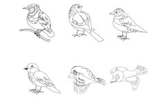 Birds Outlines Set 1 Procreate Brush Stamps, 30 Bird Product Image 9