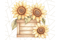 Rustic Sunflower Clipart, Soft Country Farmhouse Florals Png Product Image 5