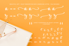 Sugarlove Script Font Product Image 9