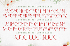 Marry Christmas - Elegant Decorative Font Product Image 9
