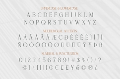 Delaproza - Modern Allcaps Serif Product Image 9