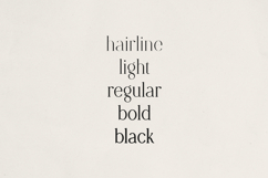 Opaline Elegant Modern Serif Font Product Image 9