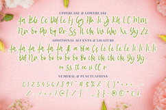 Amazing Sweety - A Stylish Script Font Product Image 9