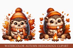 watercolor autumn hedgehog clipart, autumn hedgehog Clipart Product Image 1