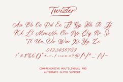 Twizler Product Image 8