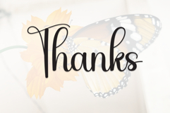 Butterfly Product Image 9