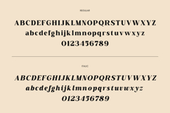 Archest - Elegant Bold Serif Font Product Image 9