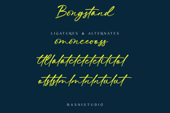 Bongstand Elegant Handwritten Font Product Image 9