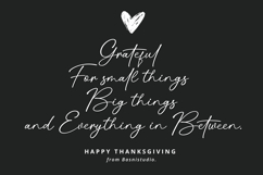 Ningetan Handwritten Font Product Image 9