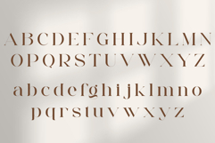 Egista Product Image 9