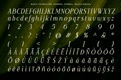 Moelania - Luxury Wedding Serif Font Product Image 9