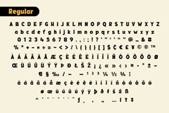 Fox Thunder : 4 Font Styles Product Image 9