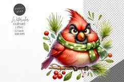 Christmas clipart|Cardinal clipart|Christmas sublimation Product Image 1