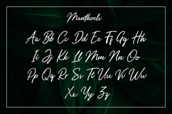 Manthoels - Stylish Signature Product Image 9