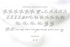 Beautiella - Casual Signature Script Font Product Image 9
