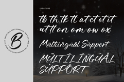 Christmas Merryland Product Image 9