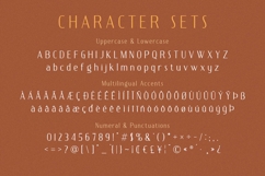Deluxes - Beautiful Classy Sans Product Image 9
