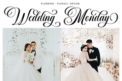 Belgia Calligraphy Product Image 9