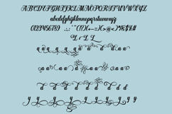 Manhattan Script Product Image 8