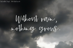 Unbridled Script Product Image 9