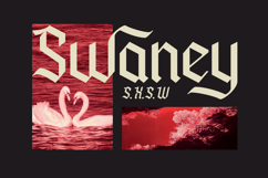 Panderly - Classic Blackletter Font Product Image 9