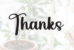 Staylive Product Image 9