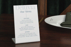 Deluvia - Elegant Serif Typeface Product Image 9