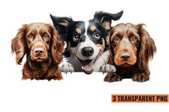 Peeking Dog Collection Clipart, Dog Collection Sublimation Product Image 1