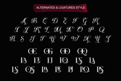 Solarie Halsy - Elegant Serif Font Product Image 8