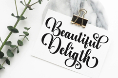 Thicker Vintage - Family Font In 61 Styles Product Image 9