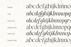 The Esteh Serif Product Image 9