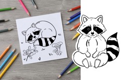 Hand-Drawn Raccoon Clipart PNG SVG Product Image 2