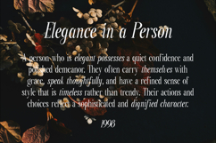 Paradise Loves - Elegant Serif Font Product Image 8