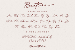 Beatina Signature Font Product Image 9