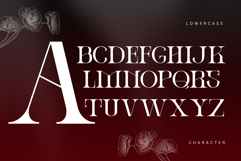 Ronel Luxury - Modern Logo Font Product Image 9