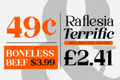 Quinela - Luxury Serif Family with 6 Weights Product Image 9