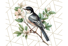 Vintage Song Bird Clipart PNG, Botanical Bird Art Clip Art Product Image 5