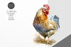 Chicken clipart, Farm animals clipart, Watercolor clipart Product Image 1