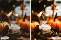 10 Crisp Leaves Mobile Lightroom Presets Product Image 9