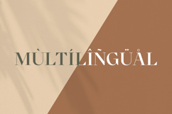 Cronisse - Modern Display Serif Product Image 9