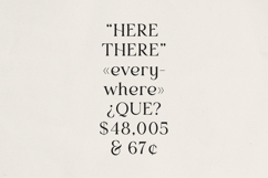 Vurnia Elegant Serif Font Product Image 9