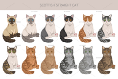 Scottish Straight Cat clipart Product Image 7