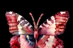 Butterflies With Flowers Clipart Bundle Product Image 10