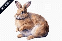 Bunny Sublimation - Bunny Sublimation Design Product Image 1