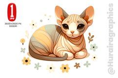 Baby Sphynx Cat - JPG File Product Image 1